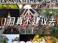 -野象谷景区