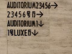 -大光明电影院(南京西路店)