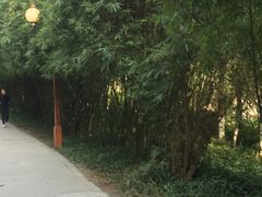 -重庆彩云湖湿地公园