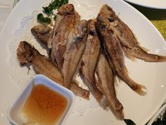 -光明邨大酒家(淮海路店)