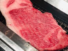 -俺的焼肉(銀座9丁目店)
