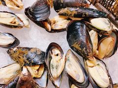 -济南喜来登酒店-盛宴自助西餐厅·综合自助