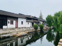 -西塘人家•黑金冠本地好店