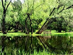 -上海共青森林公园