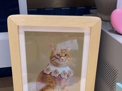 -海马体照相馆(大连柏威年购物中心店)