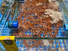 -三亚火车头万人海鲜广场