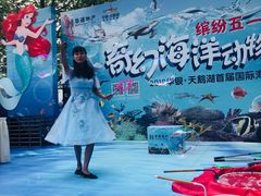 -天鹅湖生态旅游风景区