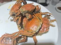 -圣罗巴海鲜烤肉自助(佳兆业店)
