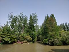 -上海滨江森林公园
