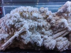 -湖南省地质博物馆