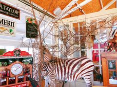 -栖露营camping·天幕烧烤·团建拓展·采摘营地