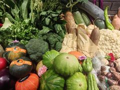 -鸢飞潍坊菜馆(鸢飞大酒店)