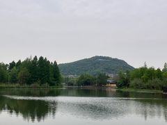 -长广溪湿地公园