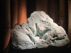 -深圳珠宝博物馆
