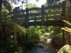 -雁南飞茶田景区
