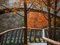 -白水寺森林公园