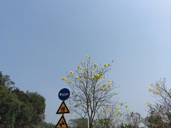 -火炉山森林公园