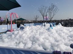 -季高兔窝窝亲子园(上海薰衣草公园店)