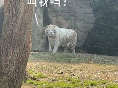 -杭州野生动物世界