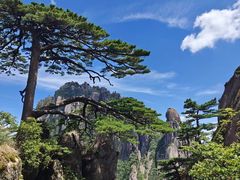 -黄山风景区