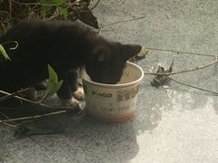 -坂田(地铁站)