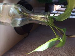 伽蓝殿青年旅舍-伽蓝殿民宿