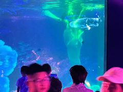 -常州海昌海洋探索馆