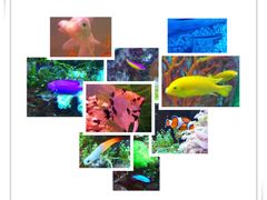 -常州海昌海洋探索馆