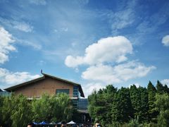 -溱湖国家湿地公园