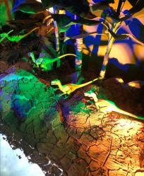 -恐龙探索乐园(磁器口店)