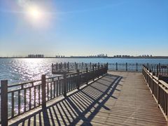 -天津东丽湖风景区