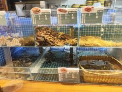 -東大方(湖州白鹭迎店)