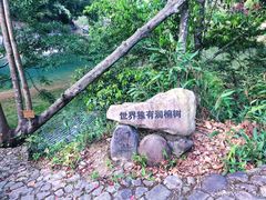 -龙湾潭国家森林公园
