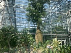 -南山植物园