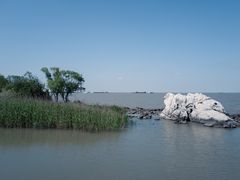 -上海吴淞炮台湾国家湿地公园