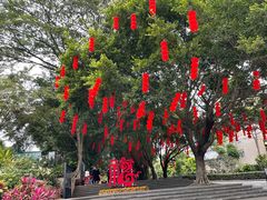 -莲花山公园