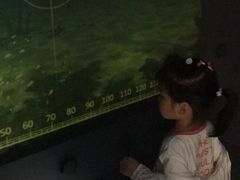 -上海长江河口科技馆