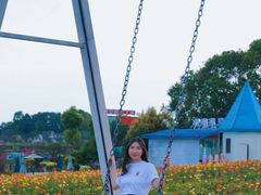 -空港花田景区