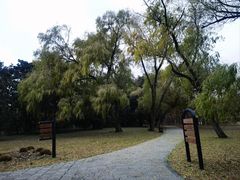 -上海共青森林公园