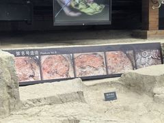 -金沙遗址博物馆