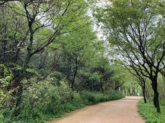 -西湖风景区-江洋畈生态公园
