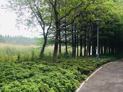 -松鹤楼(狮山永利广场店)