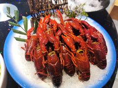 -洪福龙虾