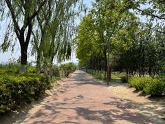 -大兴滨河森林公园