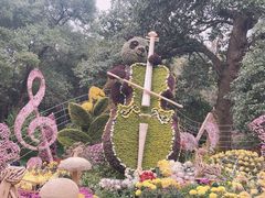 -杭州植物园