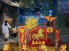 -合肥海洋世界