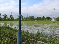 -嘉北郊野公园