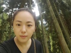 -武陵山森林公园