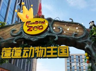 夏天与小动物来个浪漫约会吧
