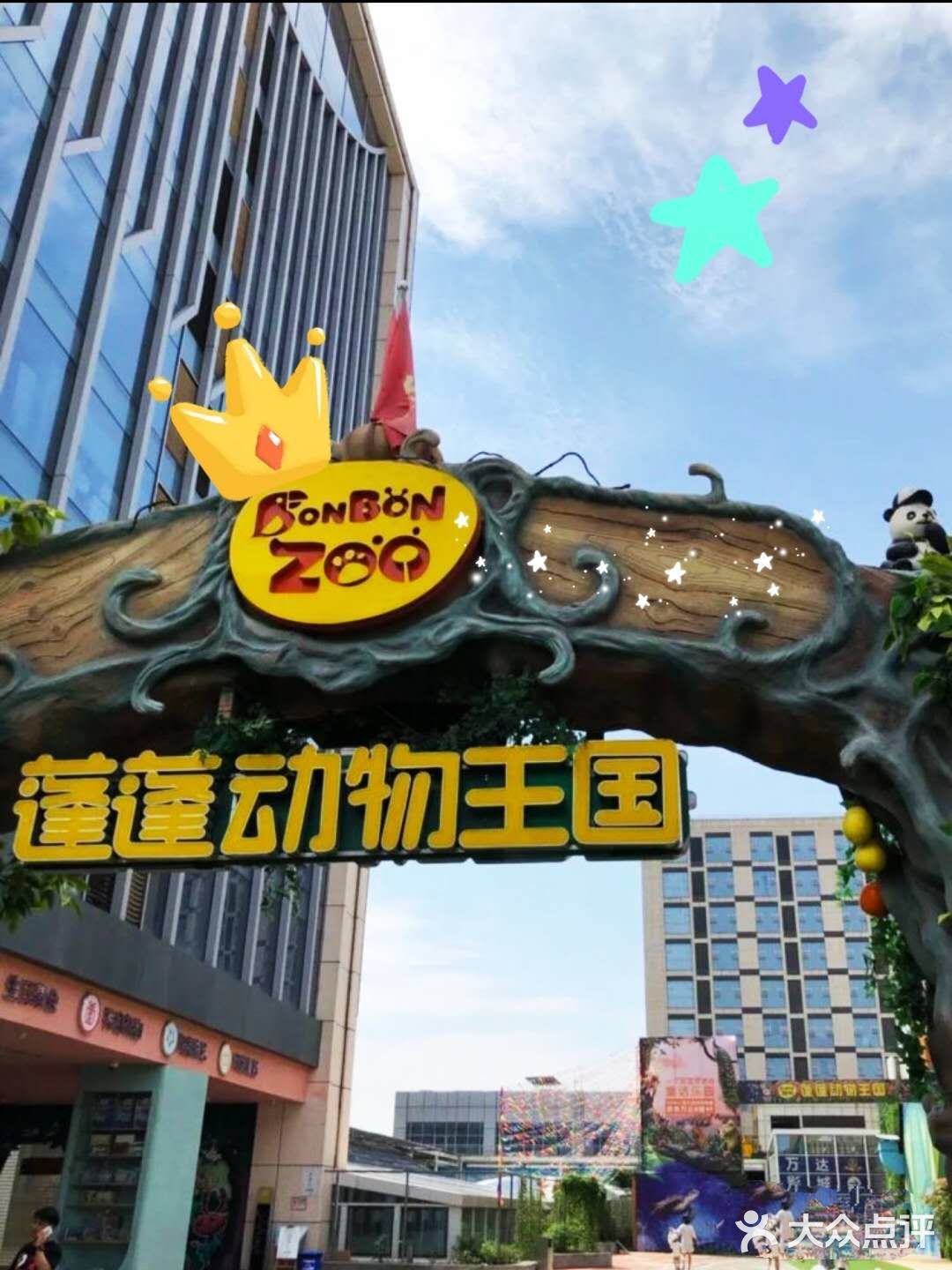夏天与小动物来个浪漫约会吧😘